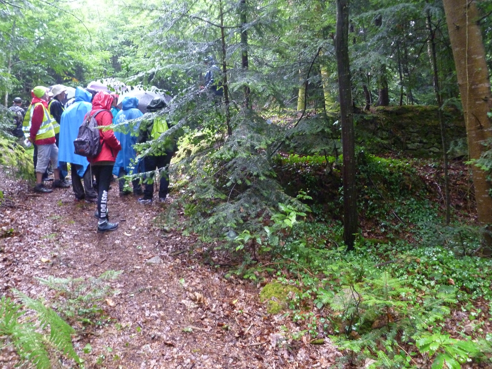 Dans les bois de Dinvez