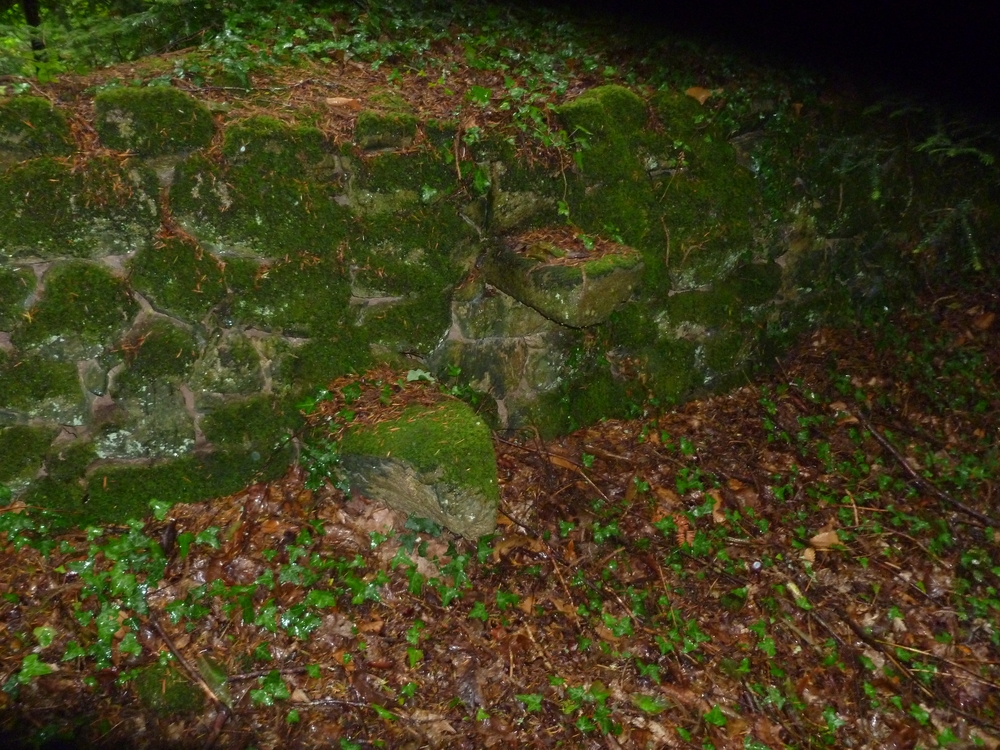 Marches dans le mur  qui aident à le franchir (Dinvez)