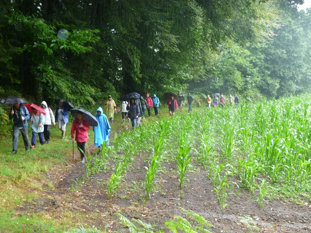 Dans la campagne entre Dinvez et Kerfenec