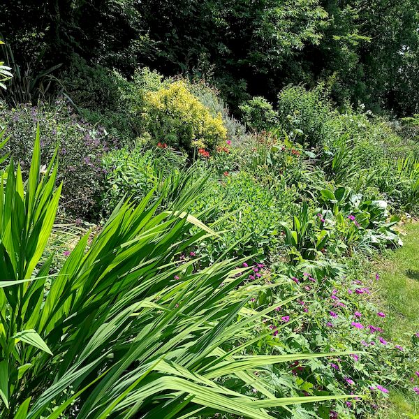 PhotoJardinJNH_10 PhotoJardinJNH_10
