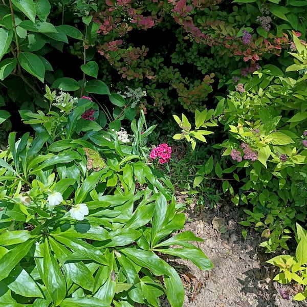 PhotoJardinJNH_20 PhotoJardinJNH_20