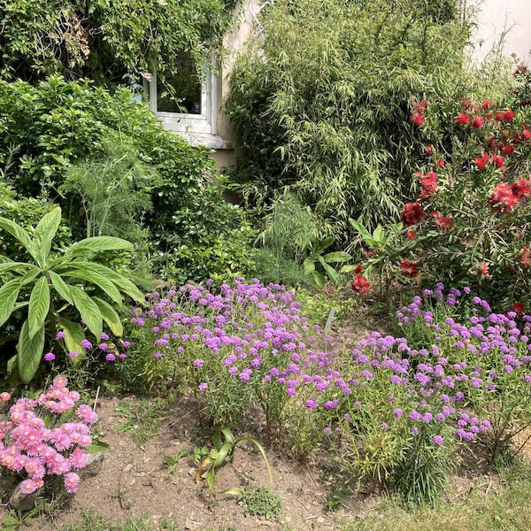 PhotoJardinJNH_21 PhotoJardinJNH_21
